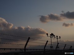airport