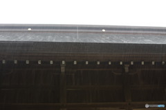 rain　the　神社