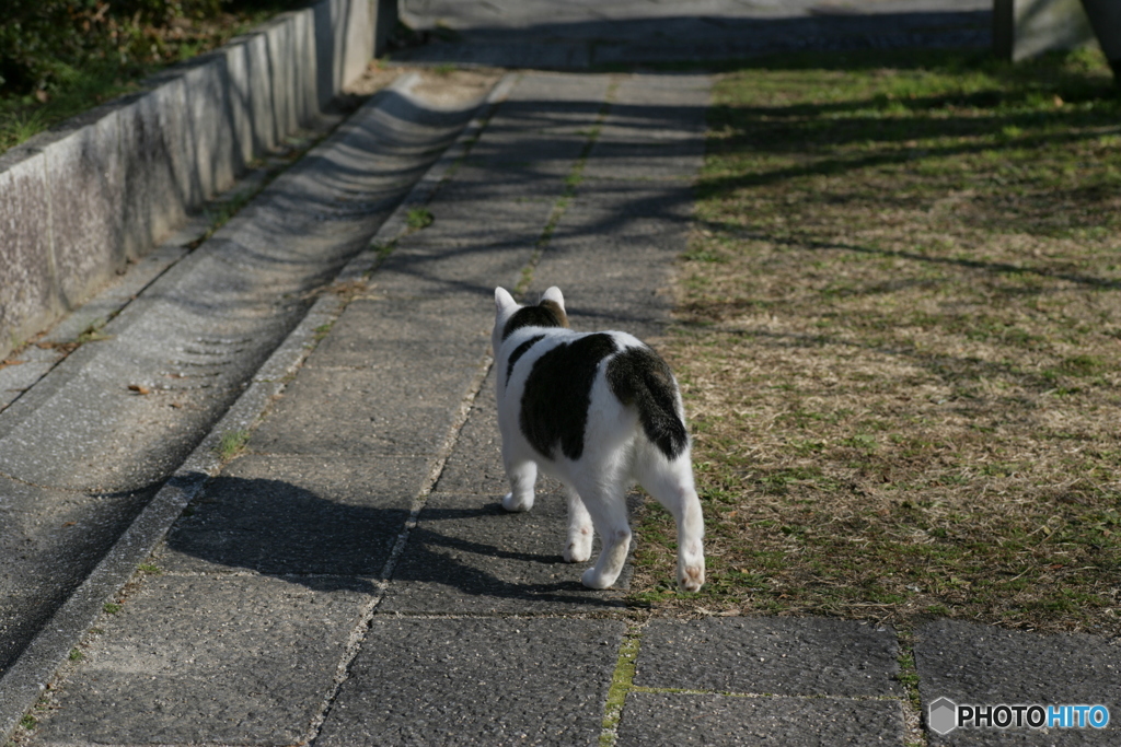 小春日和