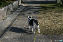 小春日和