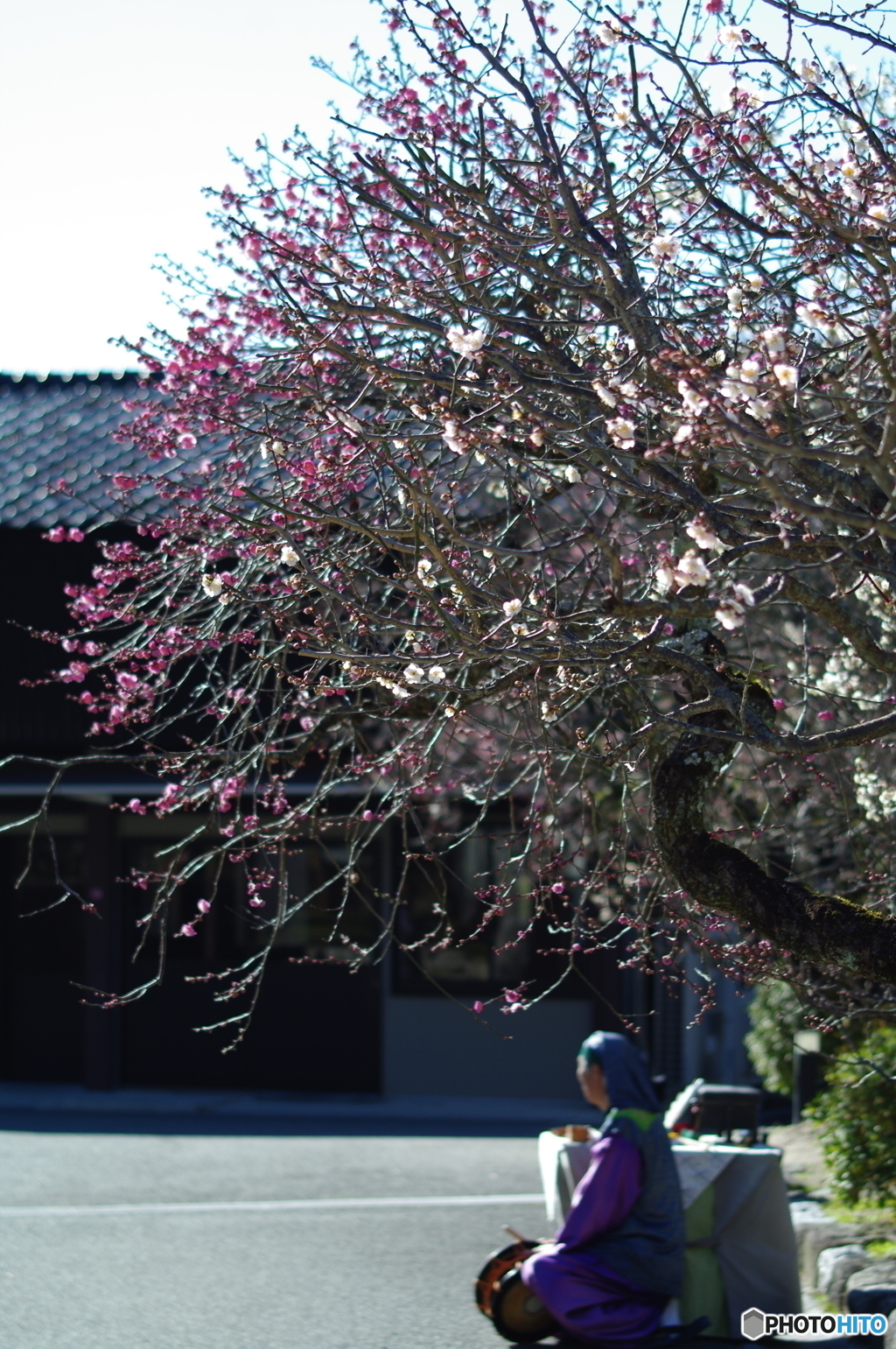 梅に鶯・・・ならぬ大道芸人・・・。