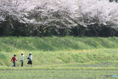 冒険者たち