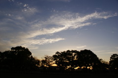 秋の空
