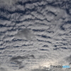 鱗の雲