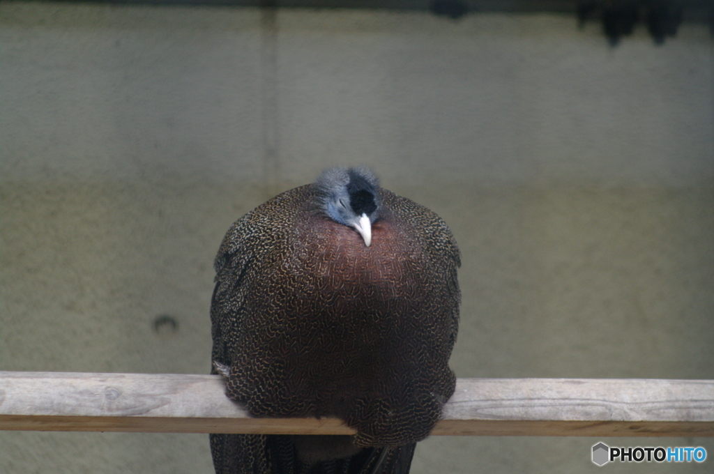 寒いんだよな…。