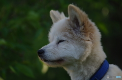 風を感じて