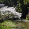 変わらない春の風景