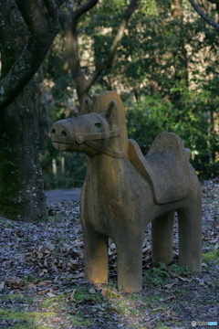 くつろぎの空間