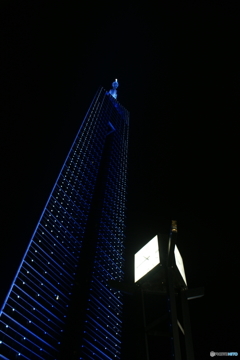 福岡タワーを見上げて⑥