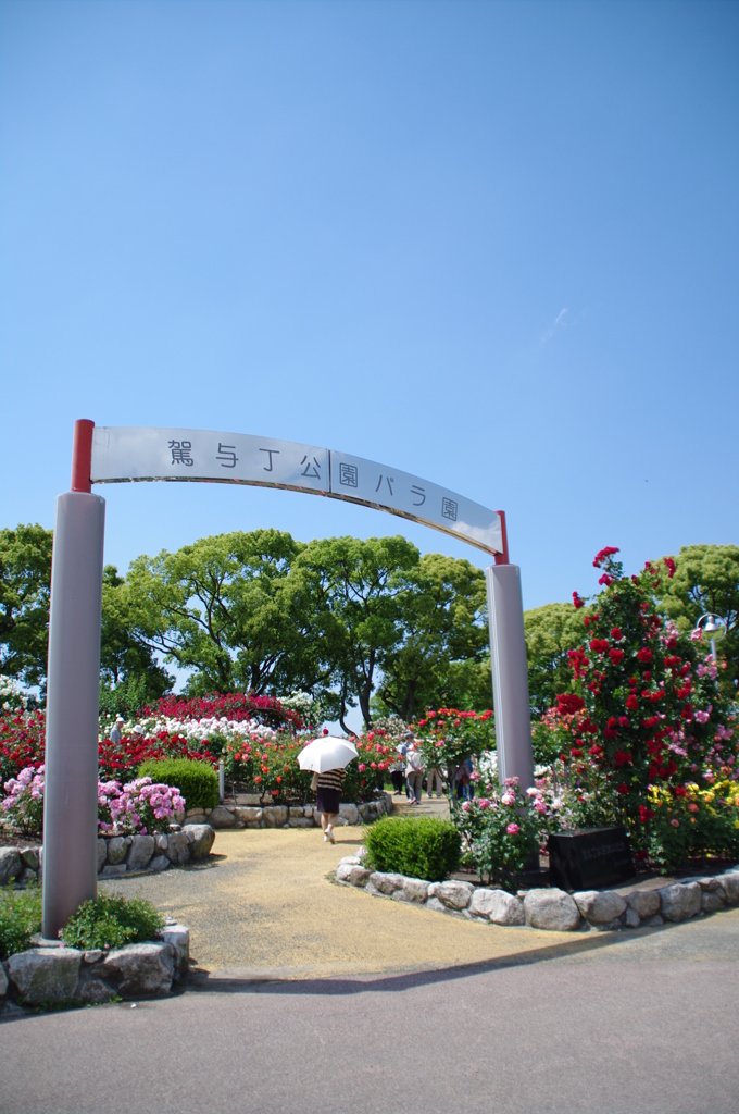 駕与丁公園内　バラ園