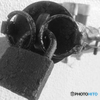 OILvalve