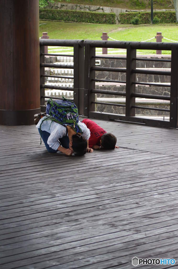 何が見えるの？