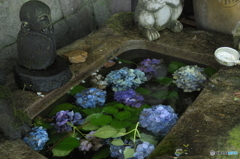 水中世界