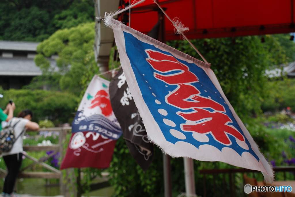 夏近し