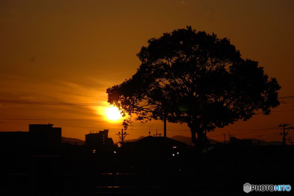 夕陽の時
