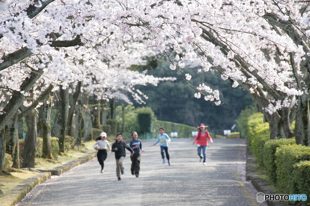 駆け抜けて