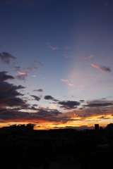 夏の夕暮れ・・・（縦ver）