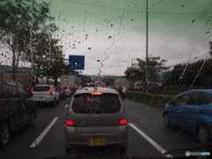 雨に降られて