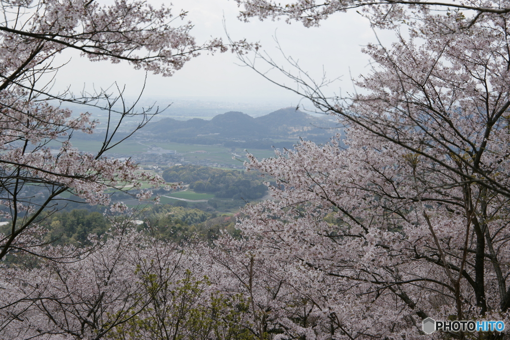 千本桜より