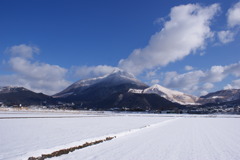 雪田の由布岳