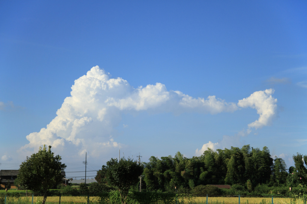 雲のオブジェ