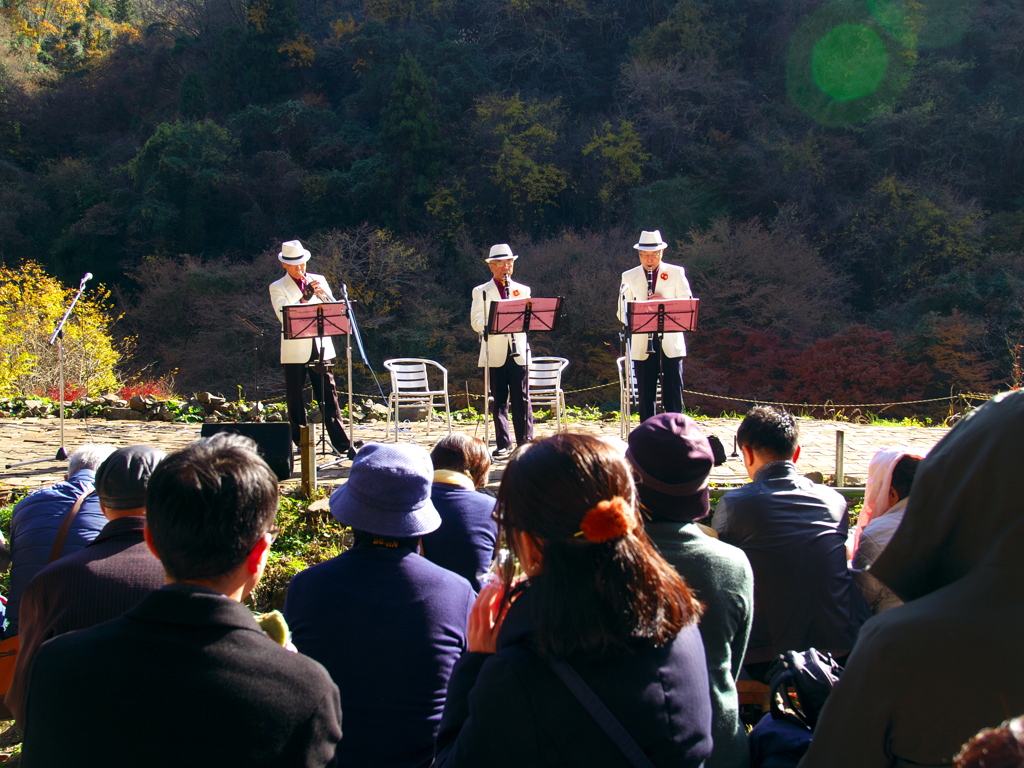 山の中の音楽会