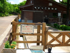 動物の消えた動物村