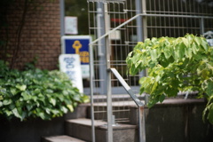 F1.1のボケ
