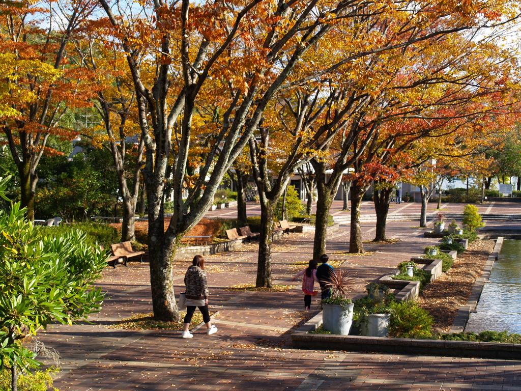 秋の公園散策