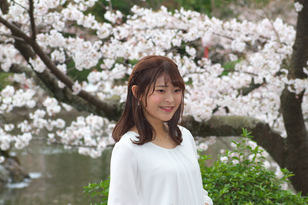 桜をバックに