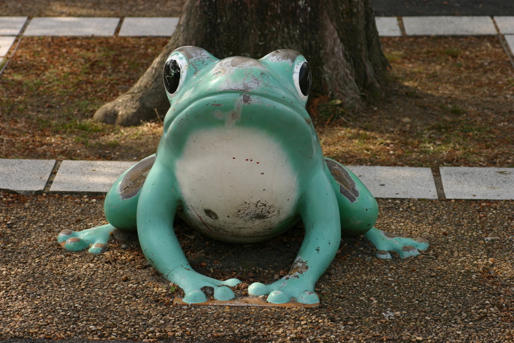 蛙で有名な春日井市