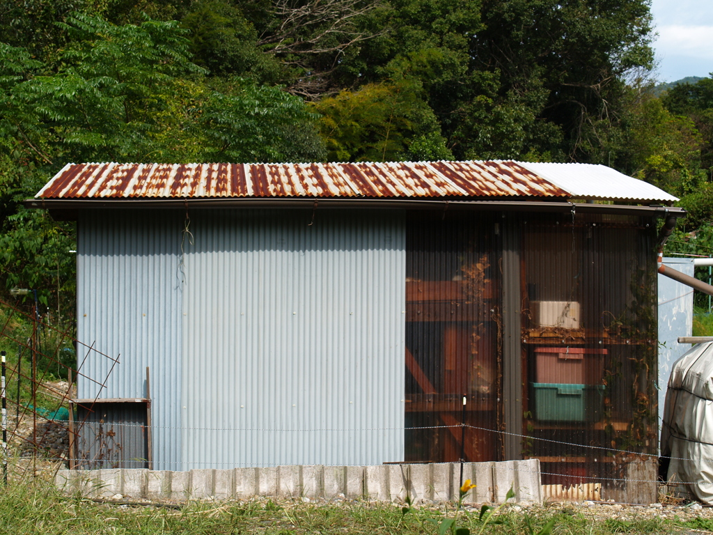 畑の師匠の小屋