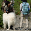 山道で