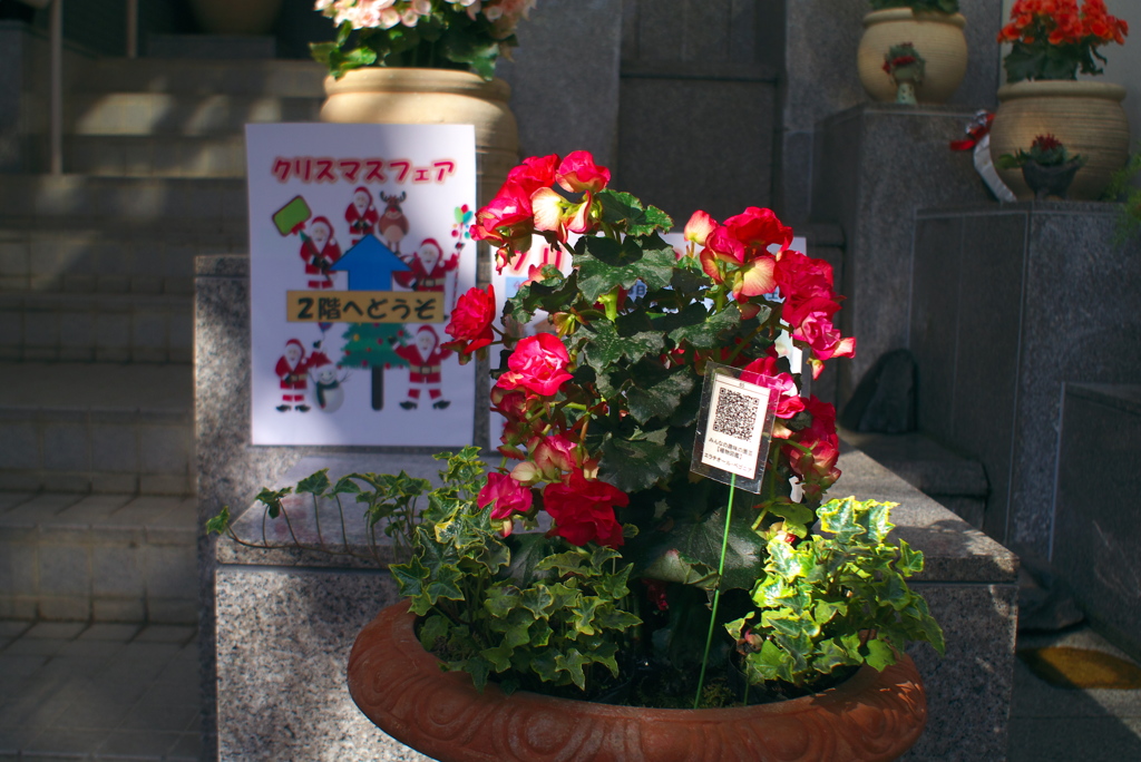 次はクリスマス