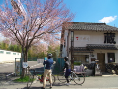 桜の下の自転車