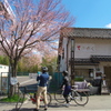 桜の下の自転車