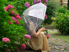 ６月の雨の雫