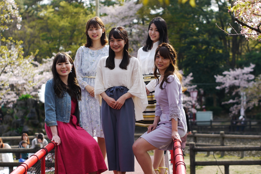 ５人桜