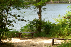 森林公園