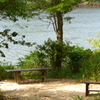 森林公園