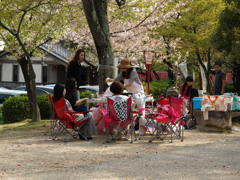 桜祭り