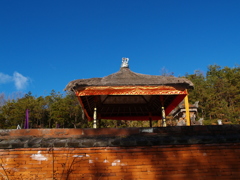 金色と青空