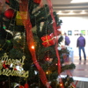 クリスマス写真展