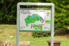 森林公園