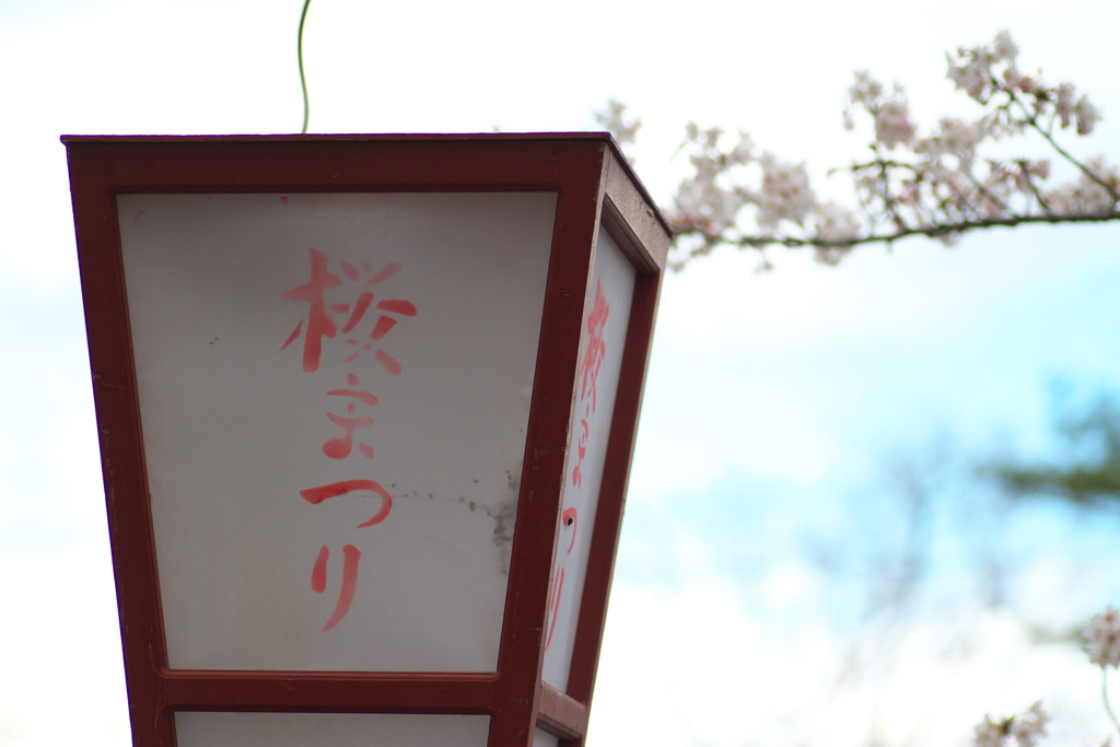 桜まつりと春の空