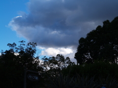 冬空