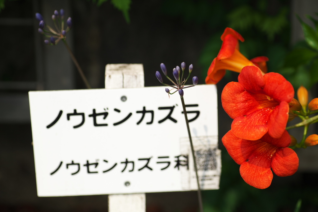 お得情報