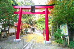 内々神社鳥居