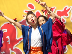 よさこい