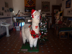 メリークリスマス